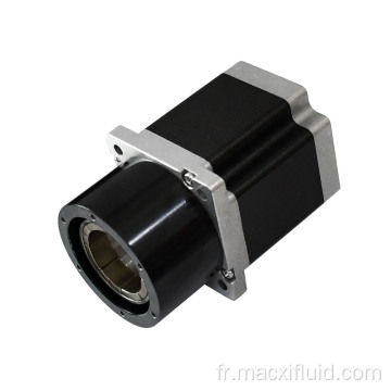 Micro-Gear Pump avec moteur de pas